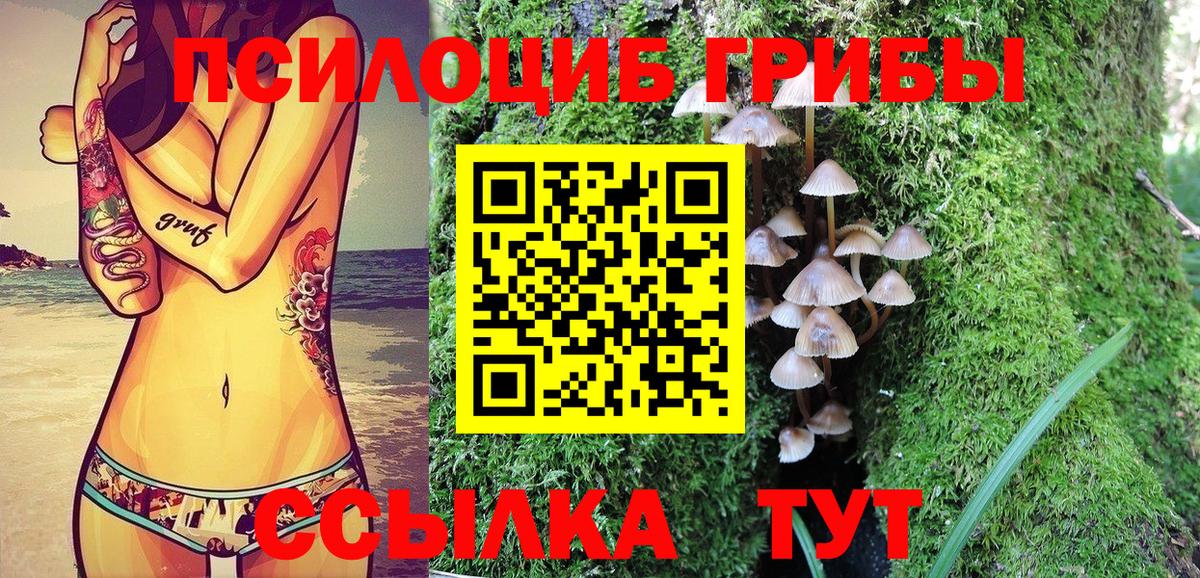 Галлюциногенные грибы GOLDEN TEACHER Кандалакша