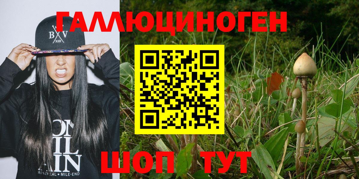 Кандалакша  Галлюциногенные грибы MAGIC MUSHROOMS  Вход с VPN 